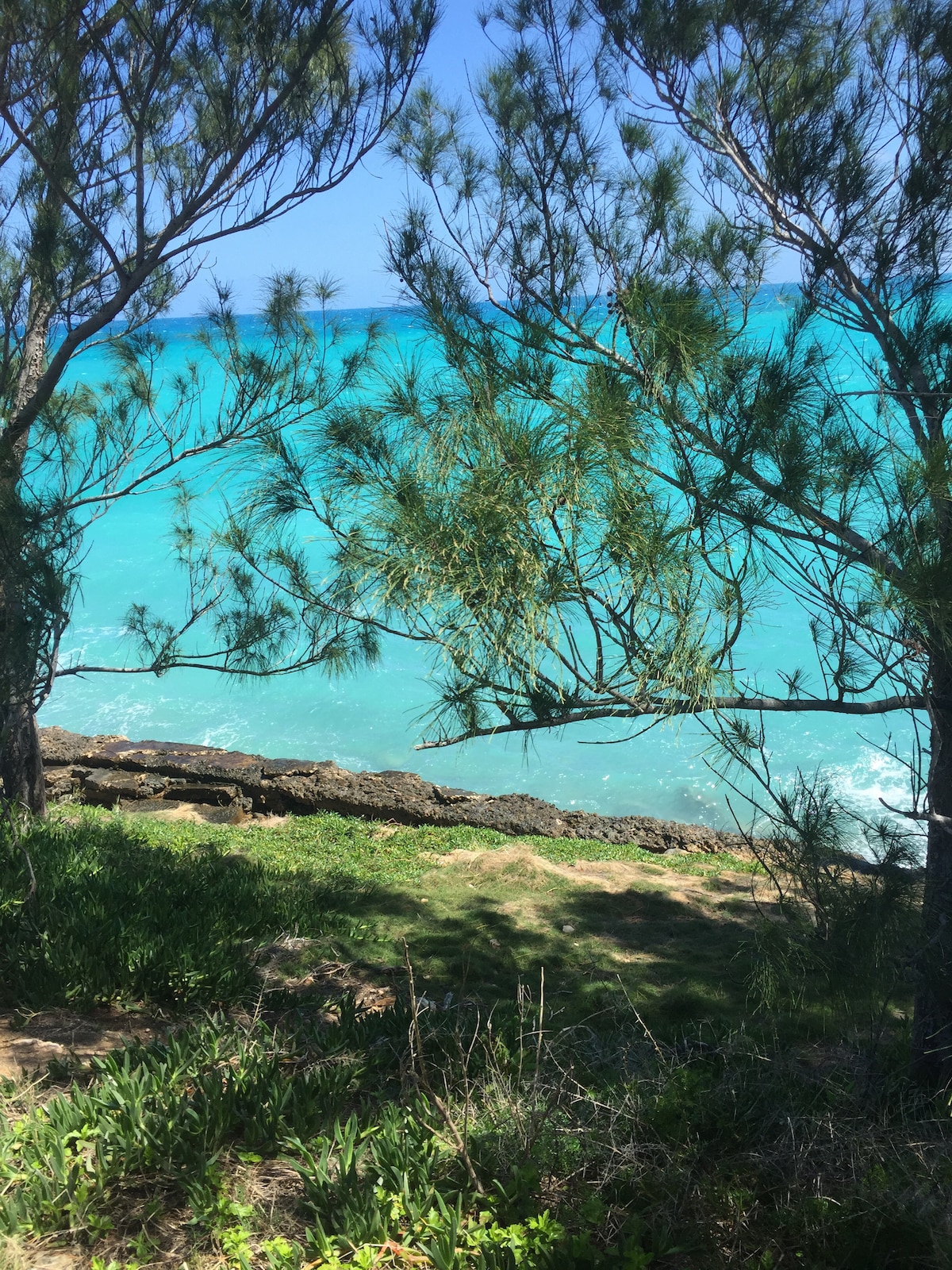 Turquoise waters can be seen framed by lush greenery and trees. The gentle waves break against a rocky shore, creating a serene coastal scene. A soft grassy area rests in the foreground, inviting relaxation amidst the natural beauty.