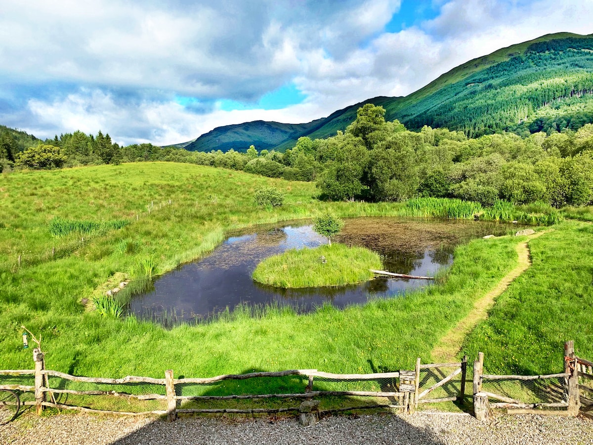A serene view of a pond surrounded by lush greenery is captured, with gentle hills rising in the background under a partially cloudy sky. The landscape features a mix of grass and wild plants, enhancing the natural beauty of the grounds.