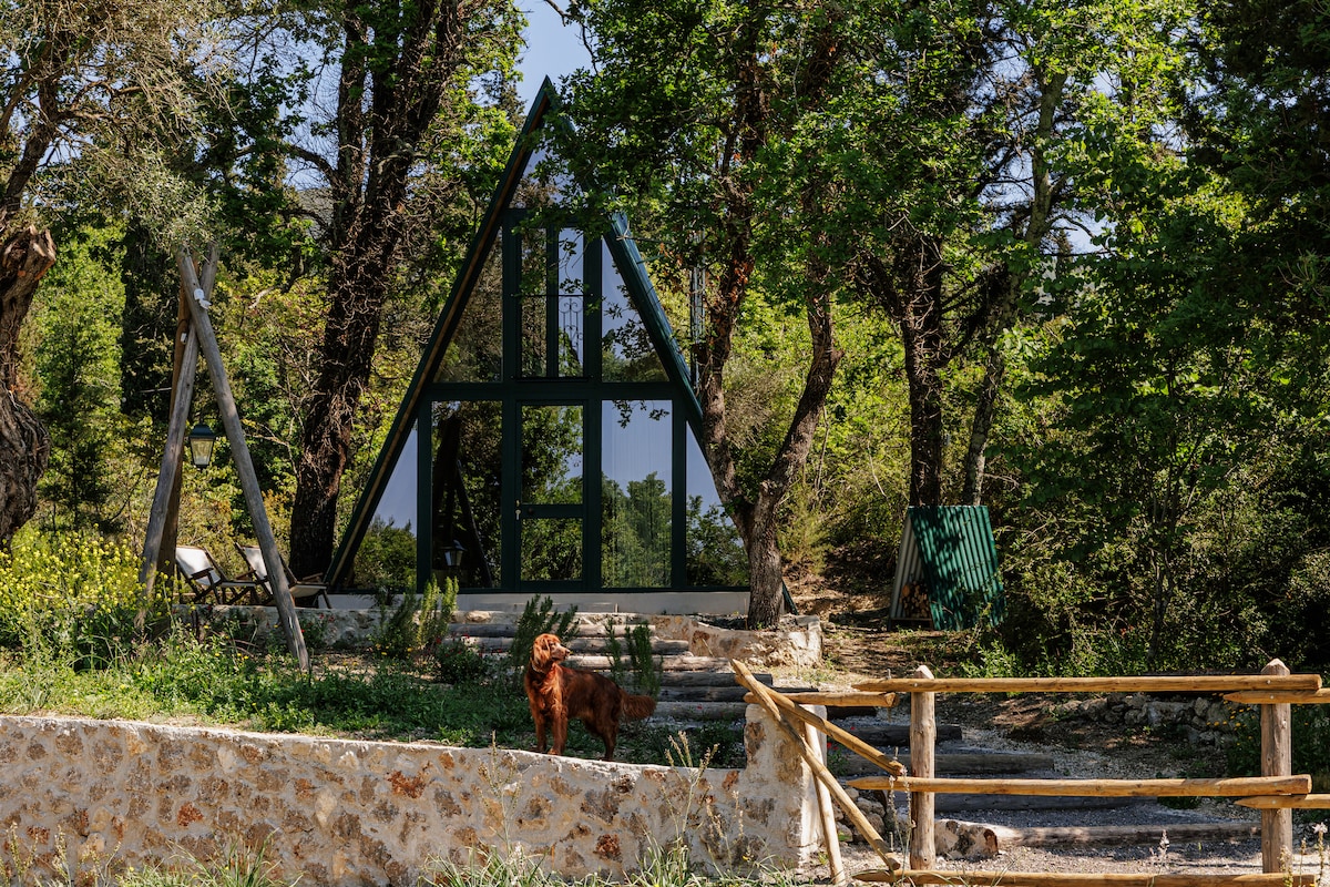 An A-frame structure is framed by lush greenery, with large glass panels reflecting the surrounding trees. A wooden fence leads to the entrance, featuring steps that connect to a stone pathway. A dog is seen in the foreground, enhancing the outdoor setting.