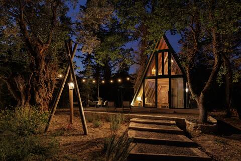 The forest house