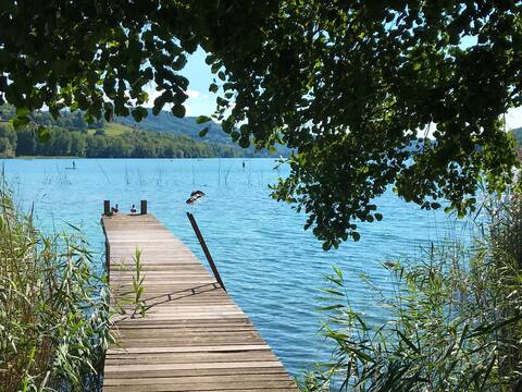 Lakefront house with dock - La Roselière