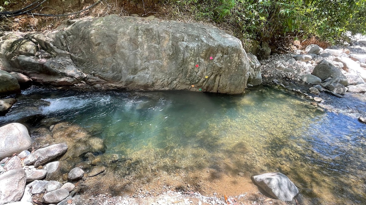 A serene section of the Chemperoh river features clear waters gently flowing over smooth stones. A large, uneven boulder is partially submerged, adorned with bright markings. Lush greenery embraces the area, providing a natural backdrop to this tranquil spot.