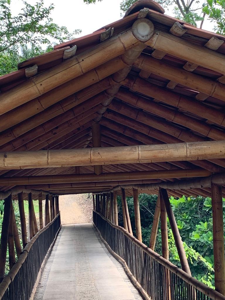 A bamboo-roofed bridge is seen leading into a natural landscape. The path is constructed of solid material, and the sides are adorned with wooden railings. Lush greenery is visible on either side, enhancing the serene ambiance.
