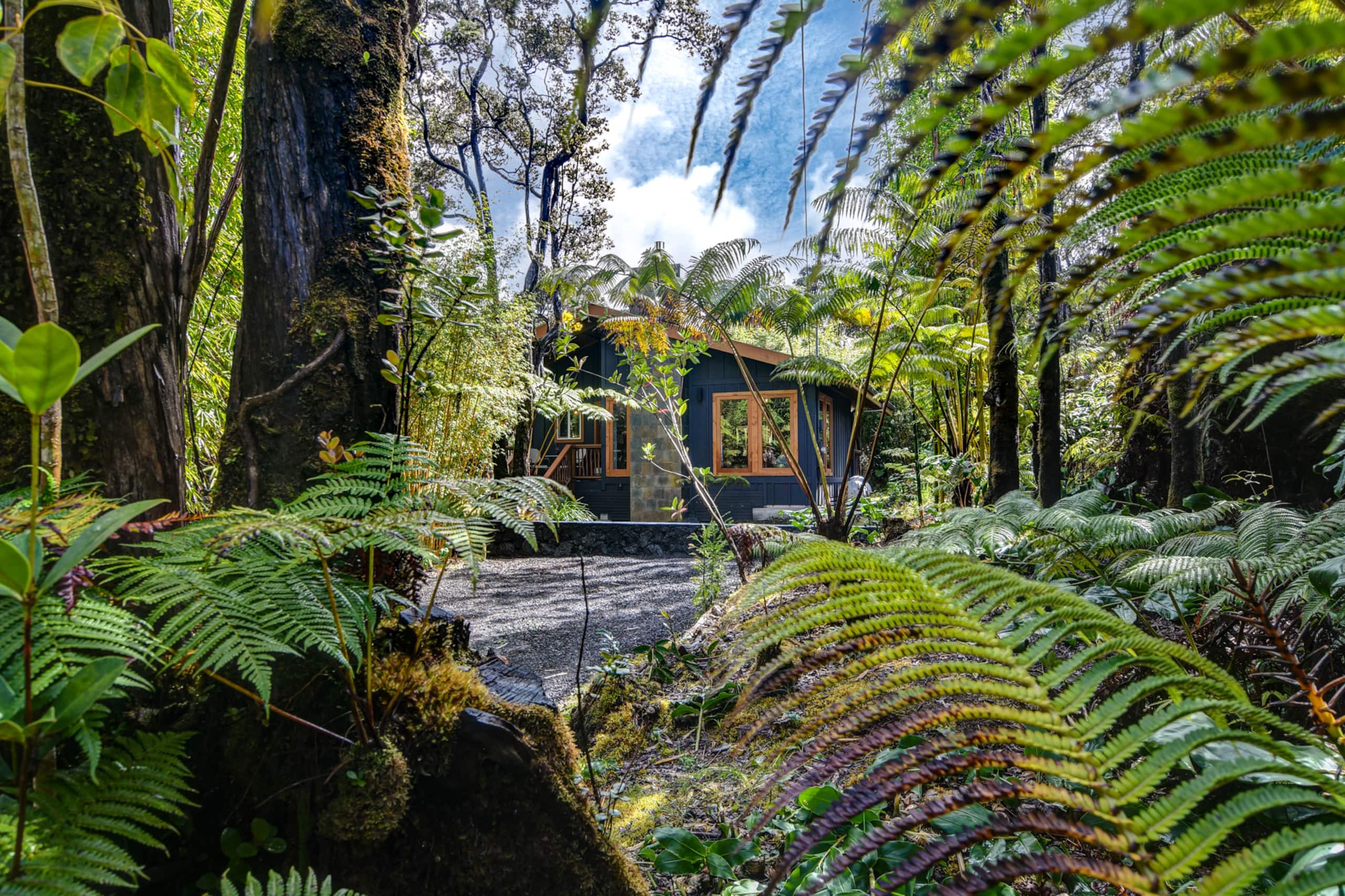 Volcano Singing Forest Cottage - Image 18