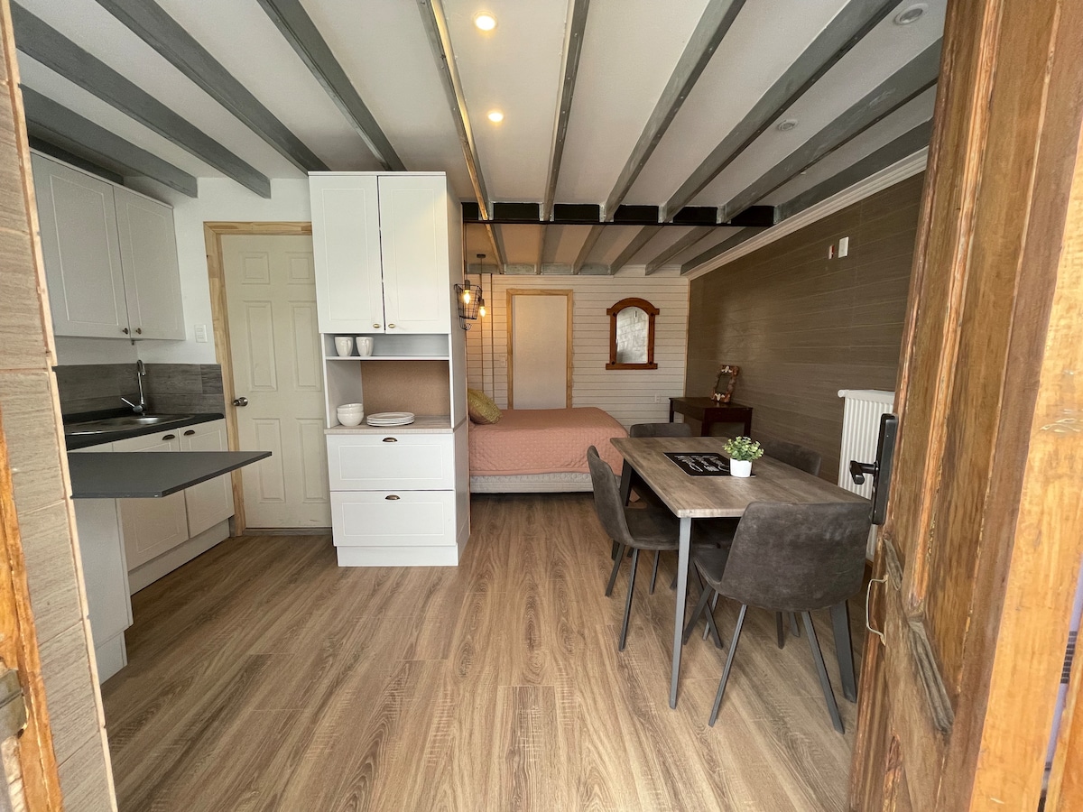 An entrance view captures a cozy studio with wooden beams above. A kitchenette and dining area are visible, alongside a comfortable bed. A neutral color palette enhances the welcoming ambiance. Natural light filters through a window adjacent to a wooden-framed mirror.