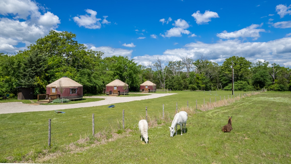 Wildflower Yurts ~ Honeysuckle - Yurts for Rent in Emory