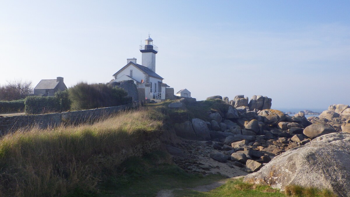 A coastal scene captures a charming white lighthouse standing beside a rocky shore. The structure is framed by tall grasses and coastal foliage, with the ocean visible in the background under a clear blue sky.