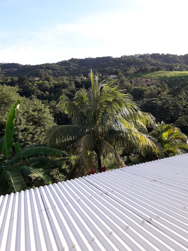 Relaxation in the Holy Spirit Apartments for Rent in SaintEsprit, Le