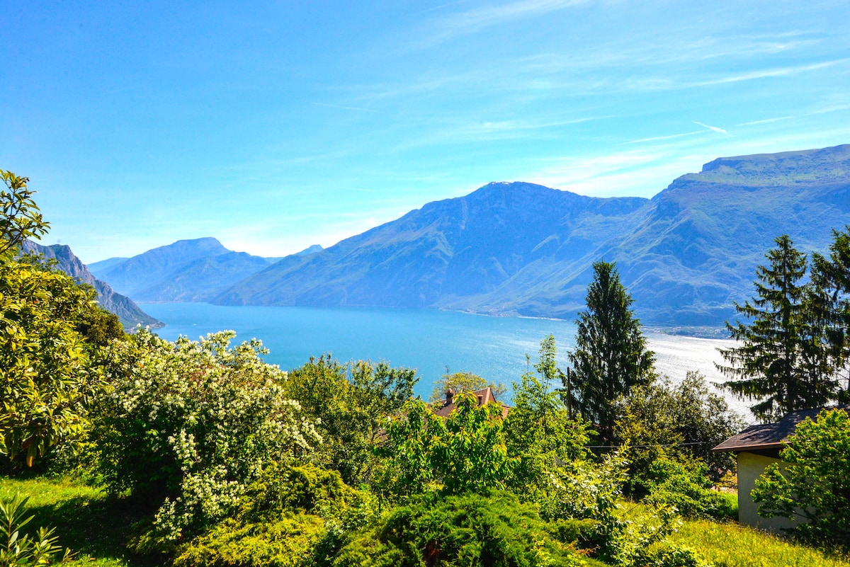 A panoramic view of Garda Lake is displayed, framed by lush greenery. Majestic mountains rise in the background under a clear blue sky, offering a serene landscape that emphasizes the natural beauty of the surroundings.
