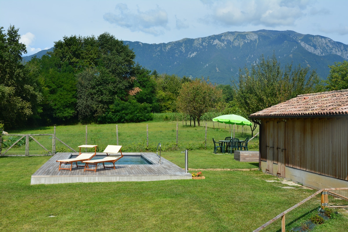 A tranquil outdoor space features a wooden deck with two sun loungers positioned beside a small pool. Lush green grass surrounds the area, complemented by distant mountains and trees. A shaded dining set under a green parasol is visible, enhancing the natural ambiance.