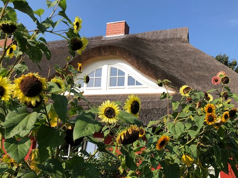 Schwalbenhof Gudderitz