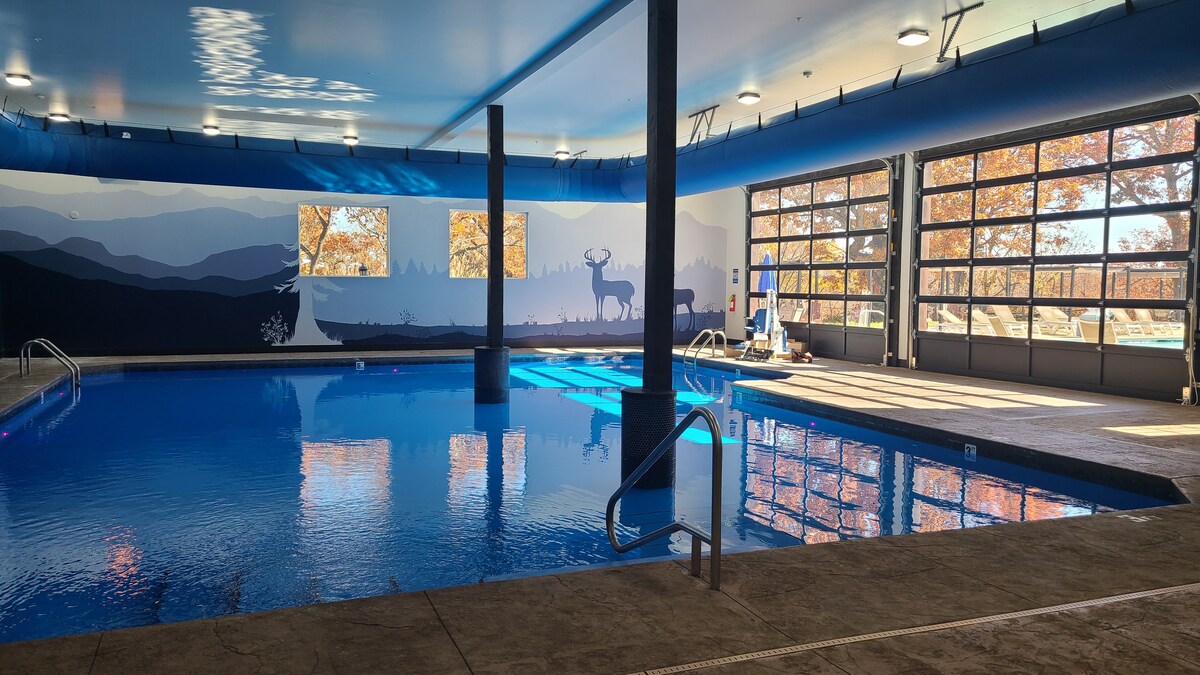An indoor swimming pool features a clear blue surface, illuminated by overhead lights. Large windows allow natural light to fill the space, revealing a scenic outdoor view. A mural depicting mountains and wildlife adorns one wall, complementing the tranquil atmosphere.