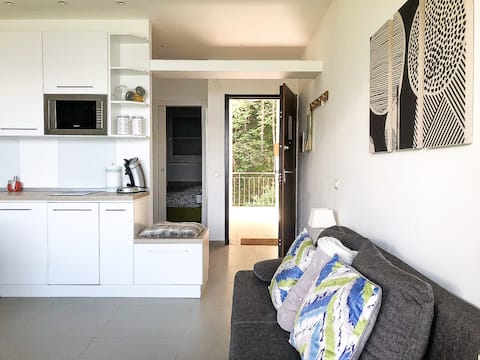 Popular Airbnb listing: Fully renovated, stunning views on Lake Garda in Tremosine Sul Garda