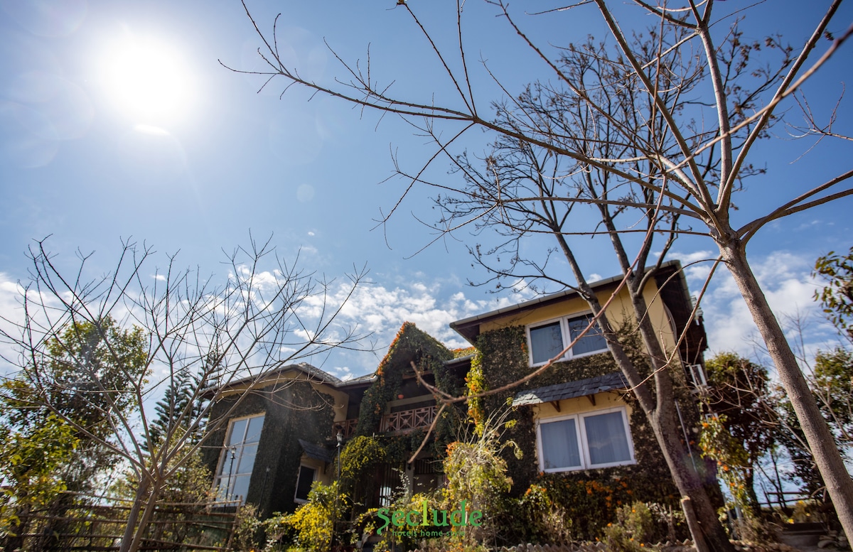 A charming yellow bungalow is surrounded by greenery, with large windows reflecting the sunlight. Leafless trees are positioned nearby, and the clear blue sky offers a bright backdrop. The overall scene is filled with natural light, conveying a serene atmosphere.