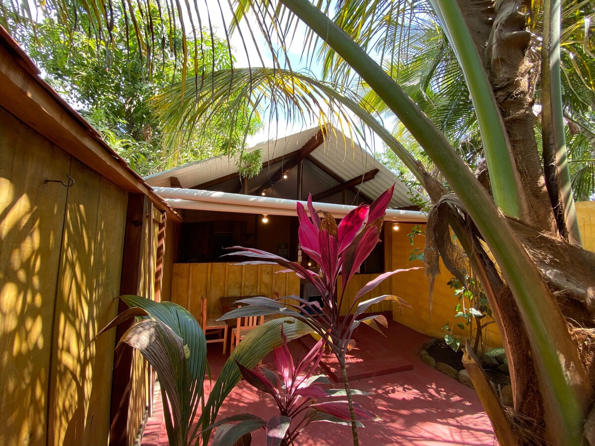 An outdoor area showcases vibrant tropical plants and a shaded seating space. A sturdy structure with a sloped roof is visible beyond the greenery. Warm colors and natural materials enhance the rustic charm of the surroundings, creating a welcoming environment.