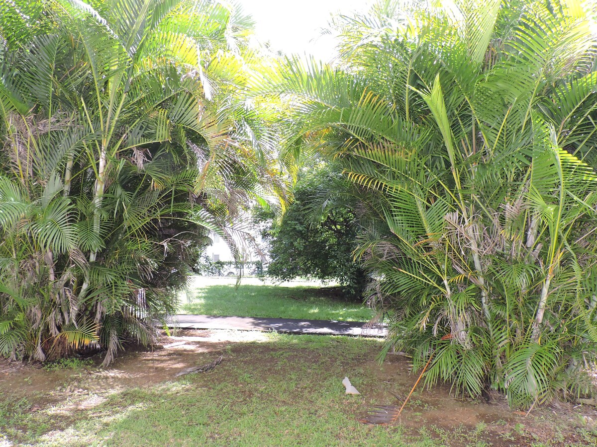 Lush tropical foliage frames a small pathway, leading into a verdant garden area. Tall palm trees and dense greenery create a natural border, while a patch of grass is visible on the ground, offering a serene outdoor space.