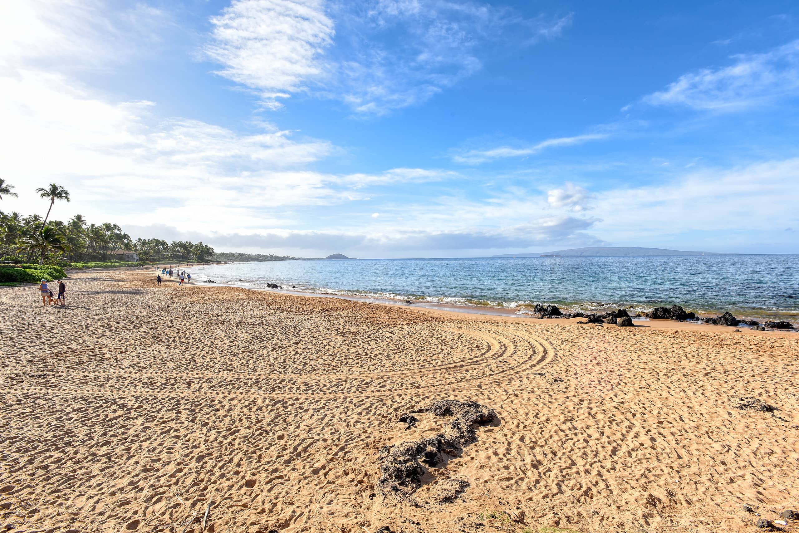 Condo in Kihei · ★4.95 · 2 bedrooms · 5 beds · 2 baths - Image 22