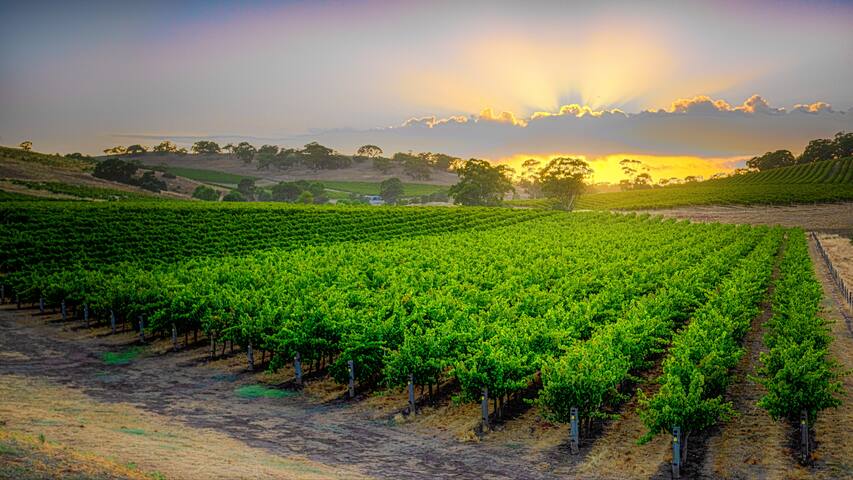 Triple Creek Guest House – Barossa Region gallery image 5