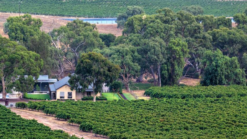 Triple Creek Guest House – Barossa Region gallery image 3