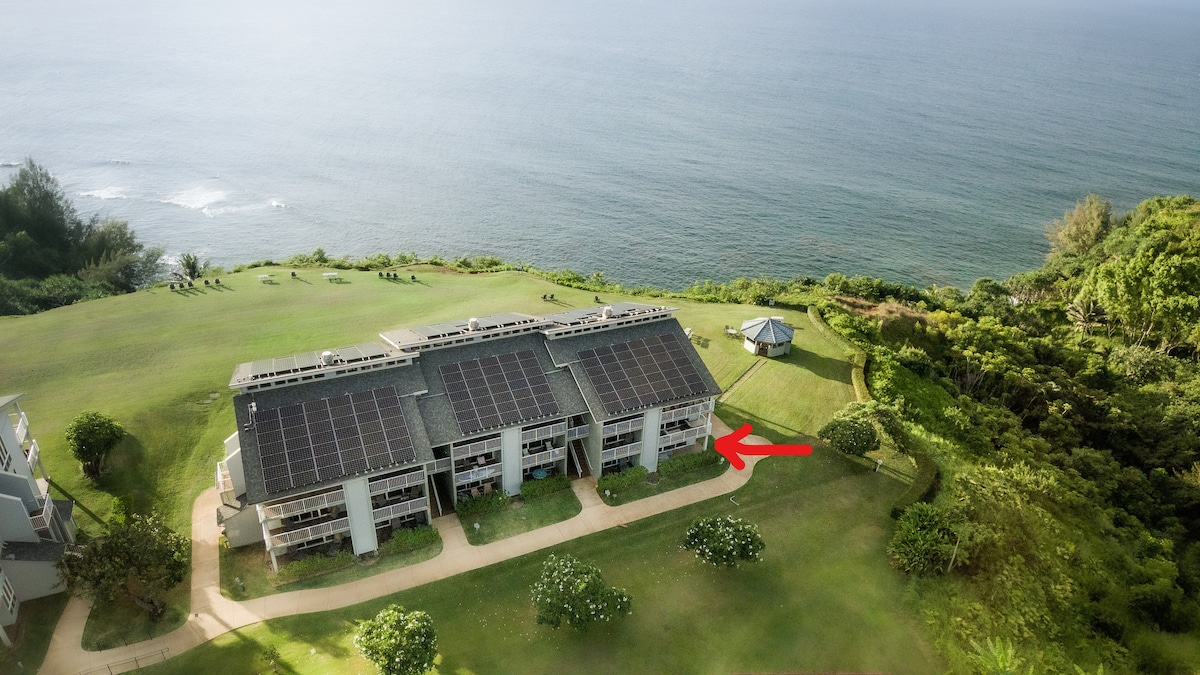 An aerial view showcases the exterior of the condo building, featuring solar panels on the roof. The lush green landscape surrounds the property, with the ocean visible in the background. Trees and a gazebo add to the natural beauty of the area.