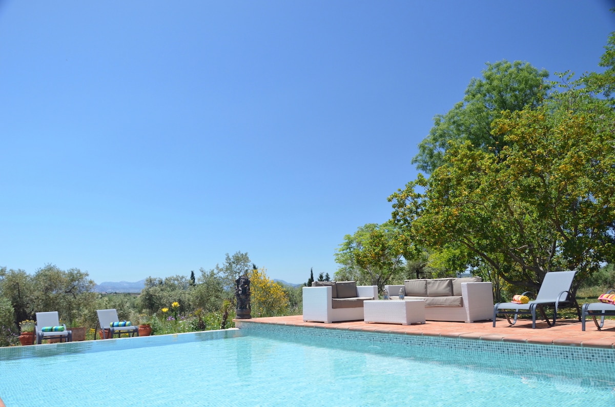 The image features a spacious outdoor area with an infinity pool surrounded by olive trees. Comfortable seating arrangements are positioned next to the pool, offering a serene view of the landscape. The clear blue sky enhances the tranquil atmosphere of the garden setting.
