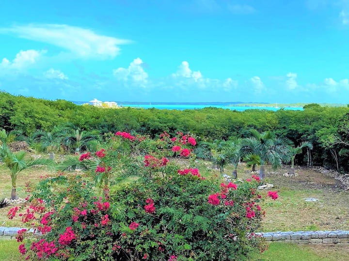 Perfect location for exploring The Exumas! Houses for Rent in