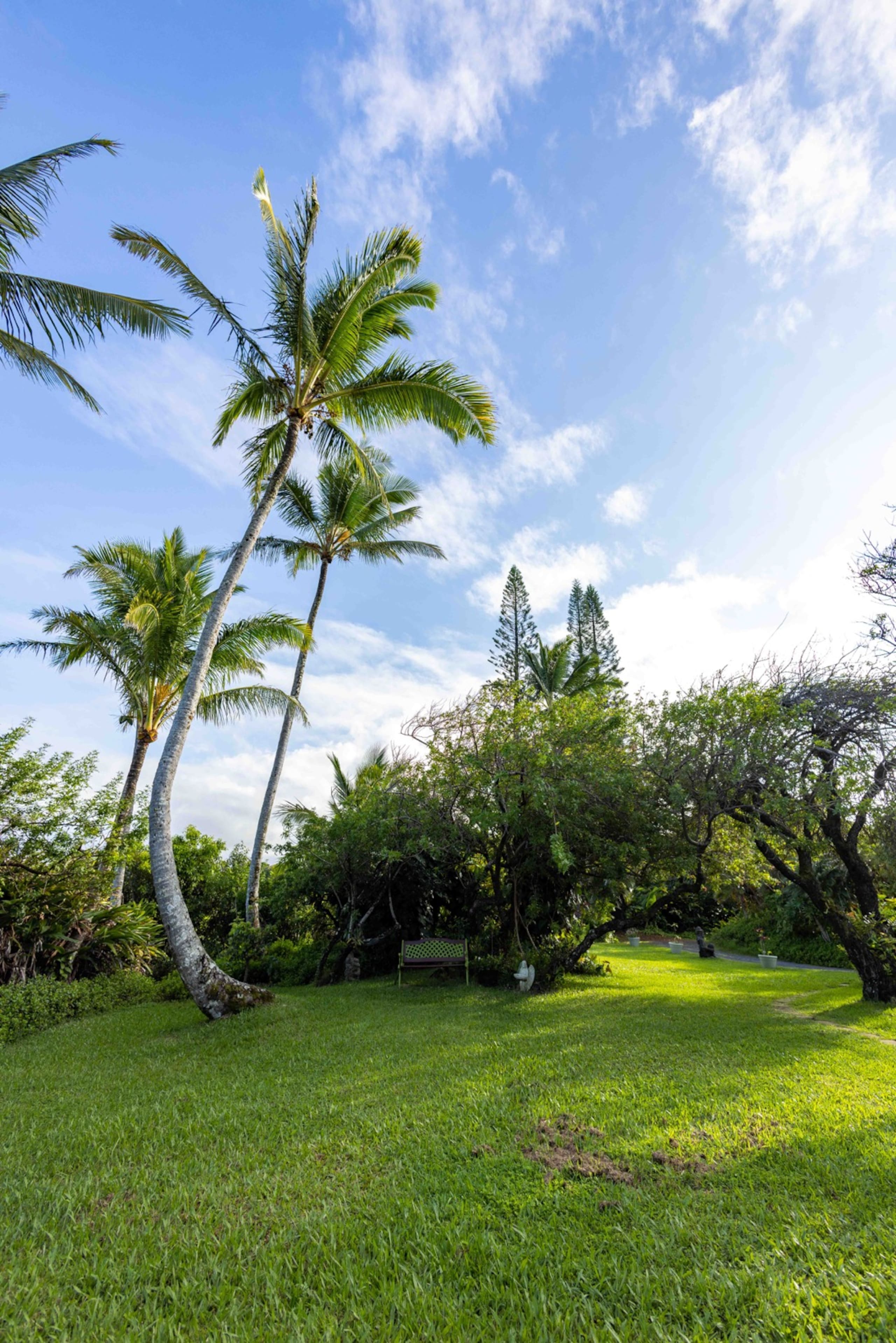 Jasmine Suite Farm Stay in Haiku on Road to Hana - Photo 62
