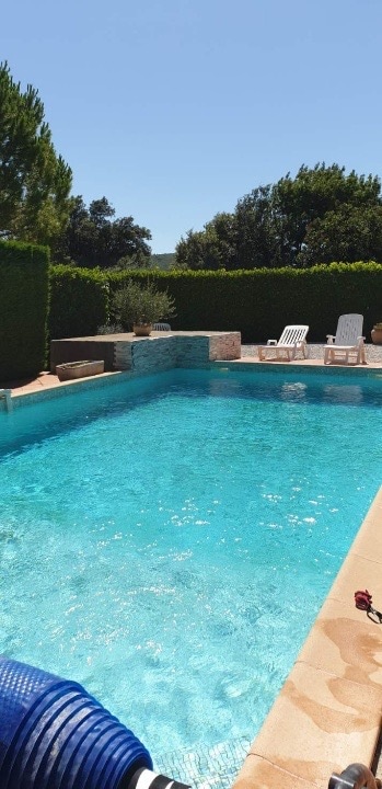 A tranquil swimming pool with clear blue water is surrounded by well-maintained greenery. Lounge chairs are positioned near the edge, inviting relaxation. Sunlight reflects off the water's surface, creating a serene atmosphere. The area is enclosed, providing privacy.