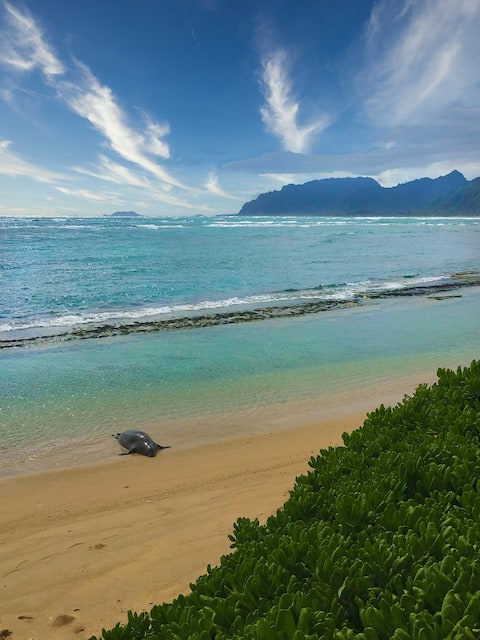 3 Beachfront Villas | Sandy Beach