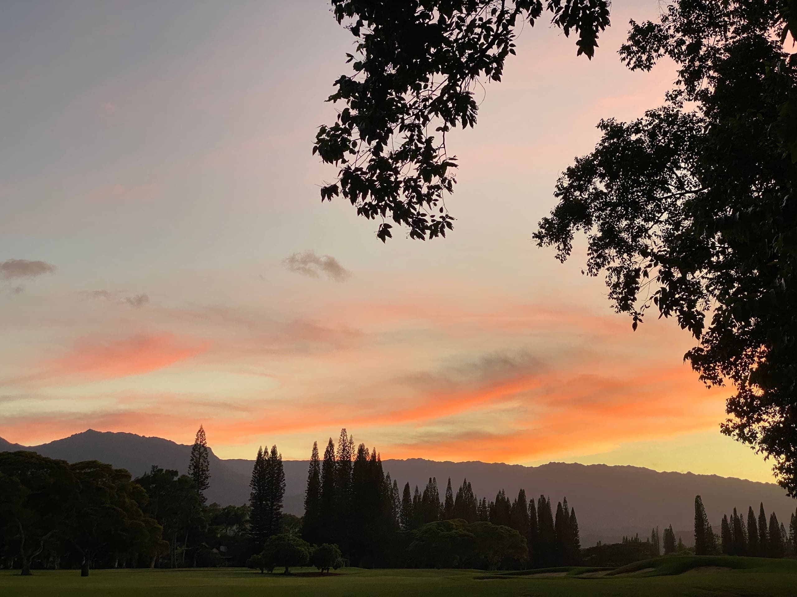 Home in Princeville · ★4.98 · 4 bedrooms · 4 beds · 2.5 baths - Image 41