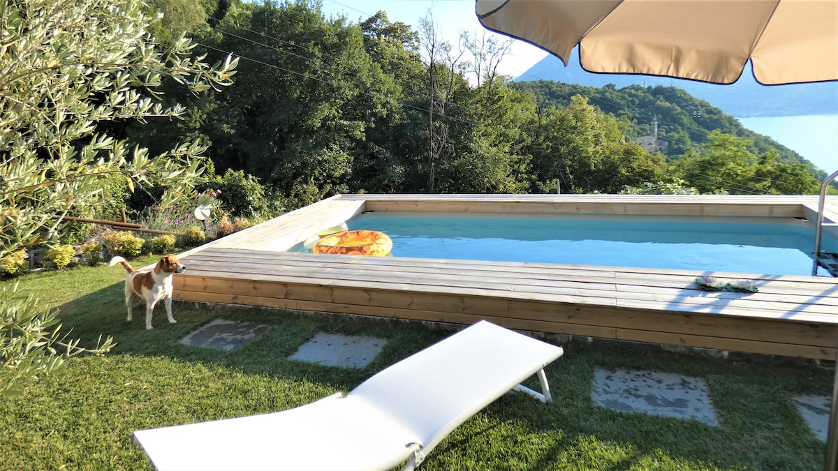 A serene outdoor area features a wooden pool surrounded by lush greenery, with a sunny lounge chair positioned nearby. A playful dog stands next to the pool, and gentle hills can be seen in the background, showcasing a peaceful landscape.