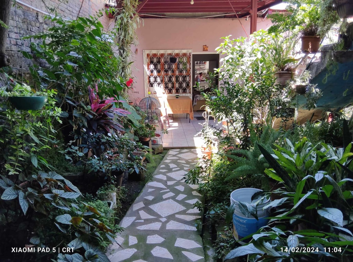 A garden pathway, lined with various plants and flowers, leads to a seating area with chairs visible through an arched doorway. Natural light filters through the greenery, creating a serene and inviting atmosphere. Decorative pots and lush foliage enhance the inviting space.