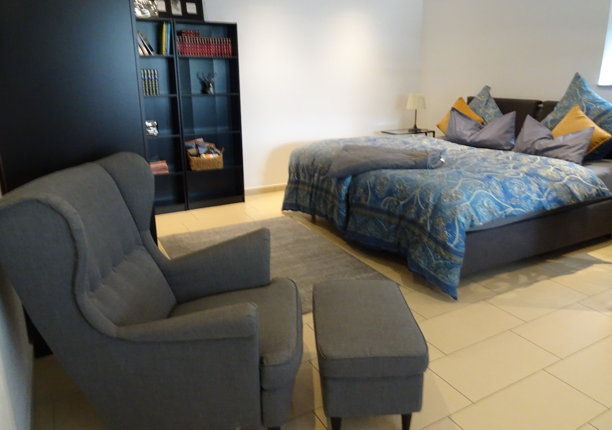 A spacious sleeping area features a large bed with decorative pillows and a patterned comforter. A comfortable armchair and matching ottoman are positioned nearby. A black shelving unit displays books and decorative items, contributing to the room's setting.