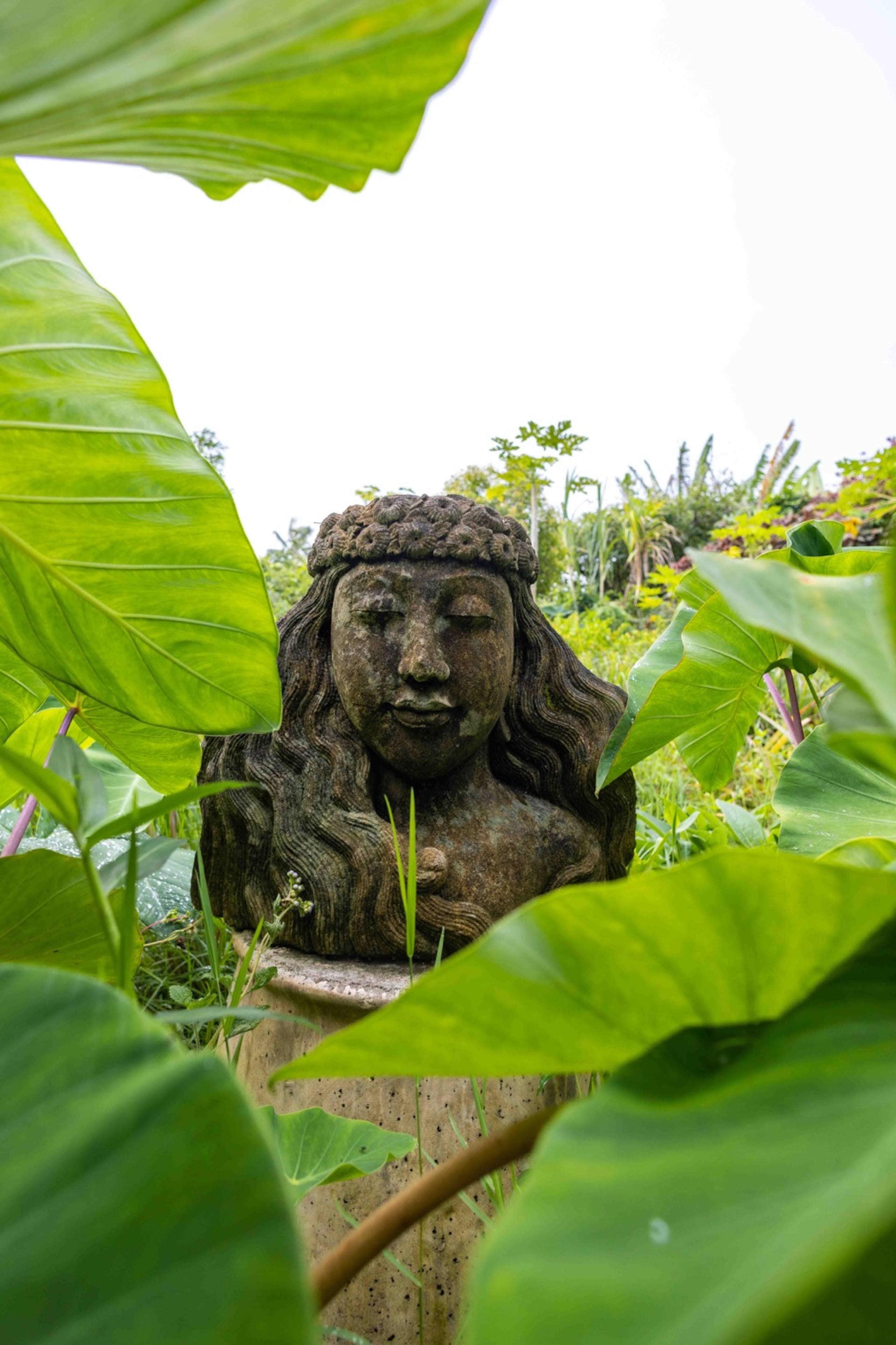Gardenia Room Farm Stay in Haiku on Road to Hana - Photo 67