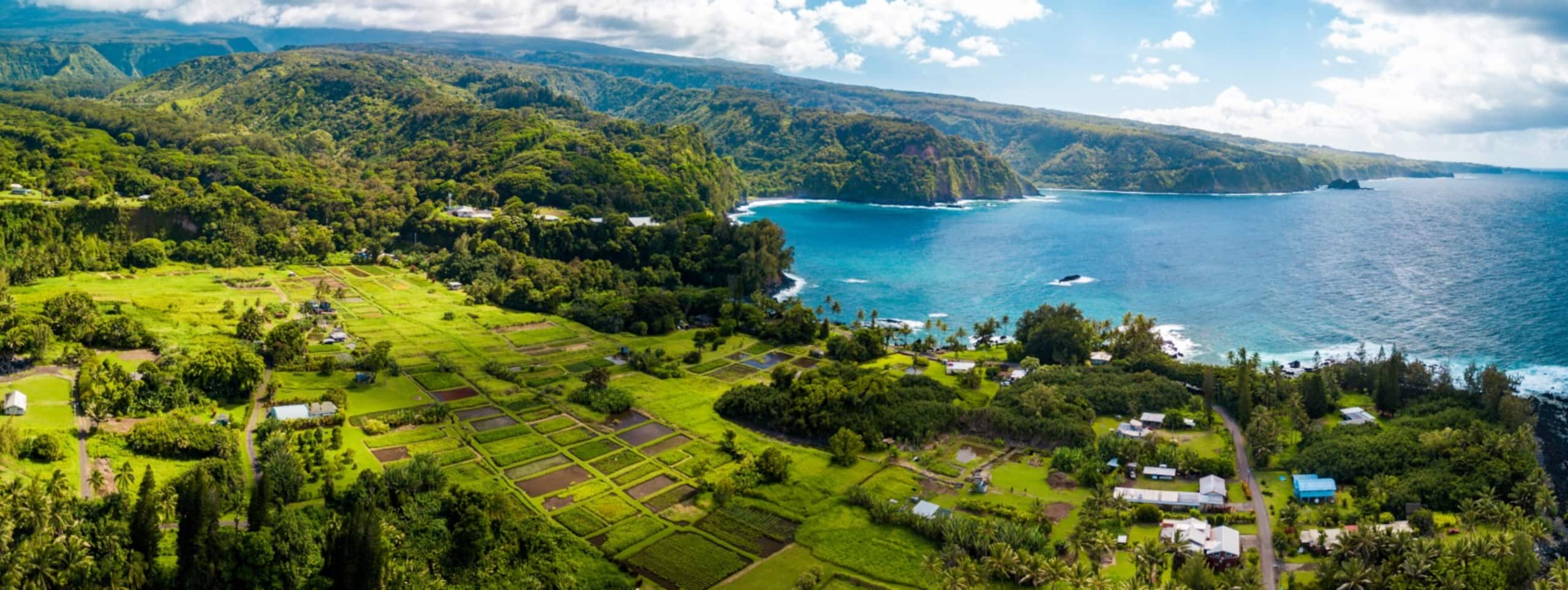 Plumeria Room Farm Stay in Haiku on Road to Hana - Image 112