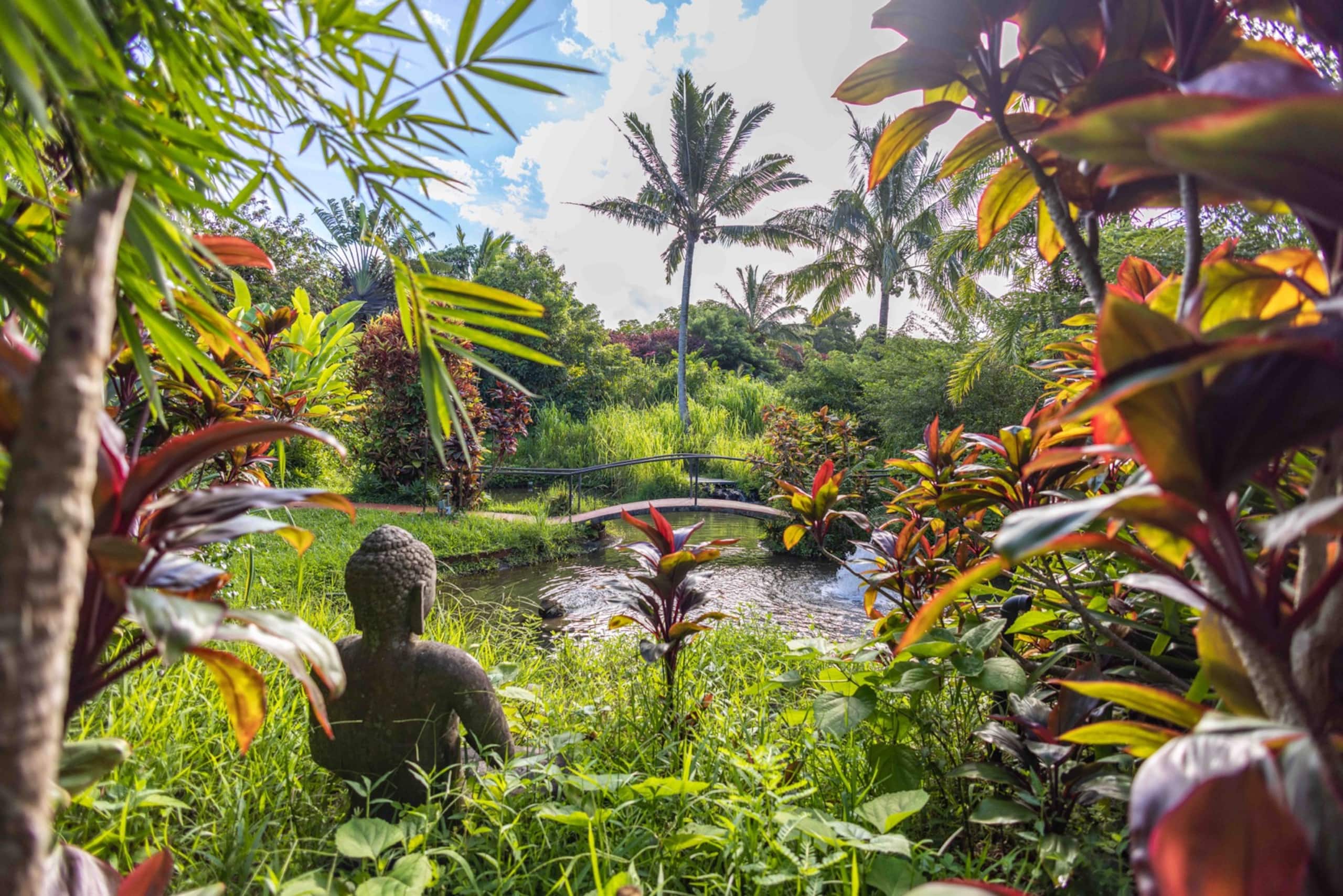 Plumeria Room Farm Stay in Haiku on Road to Hana - Image 57
