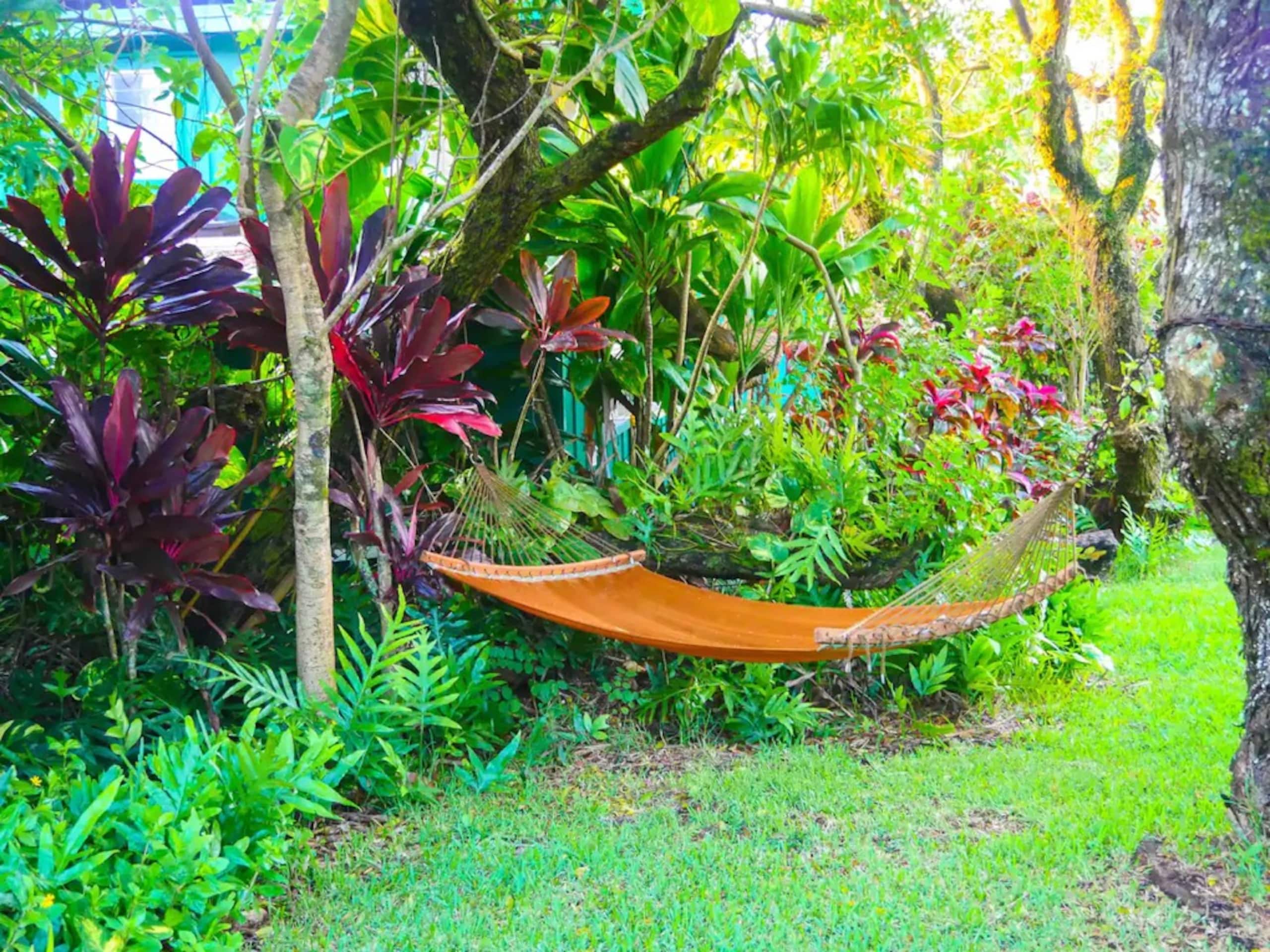 Plumeria Room Farm Stay in Haiku on Road to Hana - Image 16
