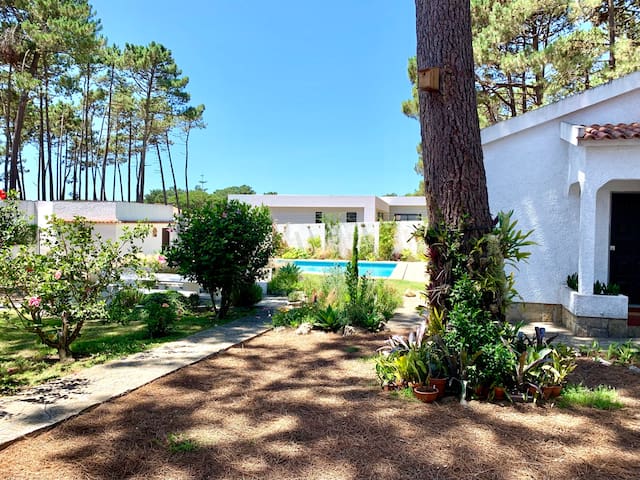 Oak Valley Flats Casa do Pinhal 5BR 4km to beach