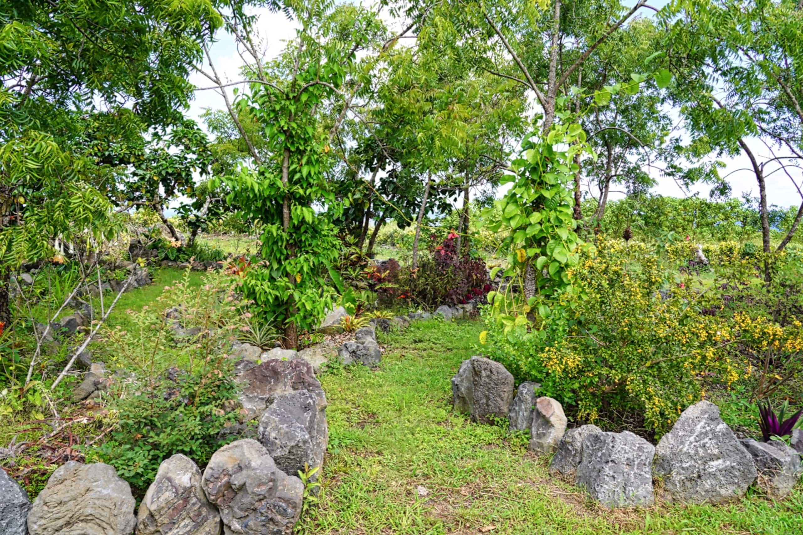 Blue Room at Sundari Gardens - Photo 26