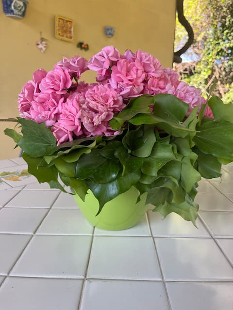 Beach House Montepaone