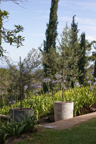 Cottage at The Shute. gallery image 4