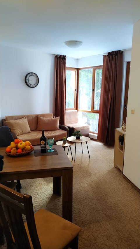 Apartment "Elitsa" Pamporovo, Cozy and Convenient!