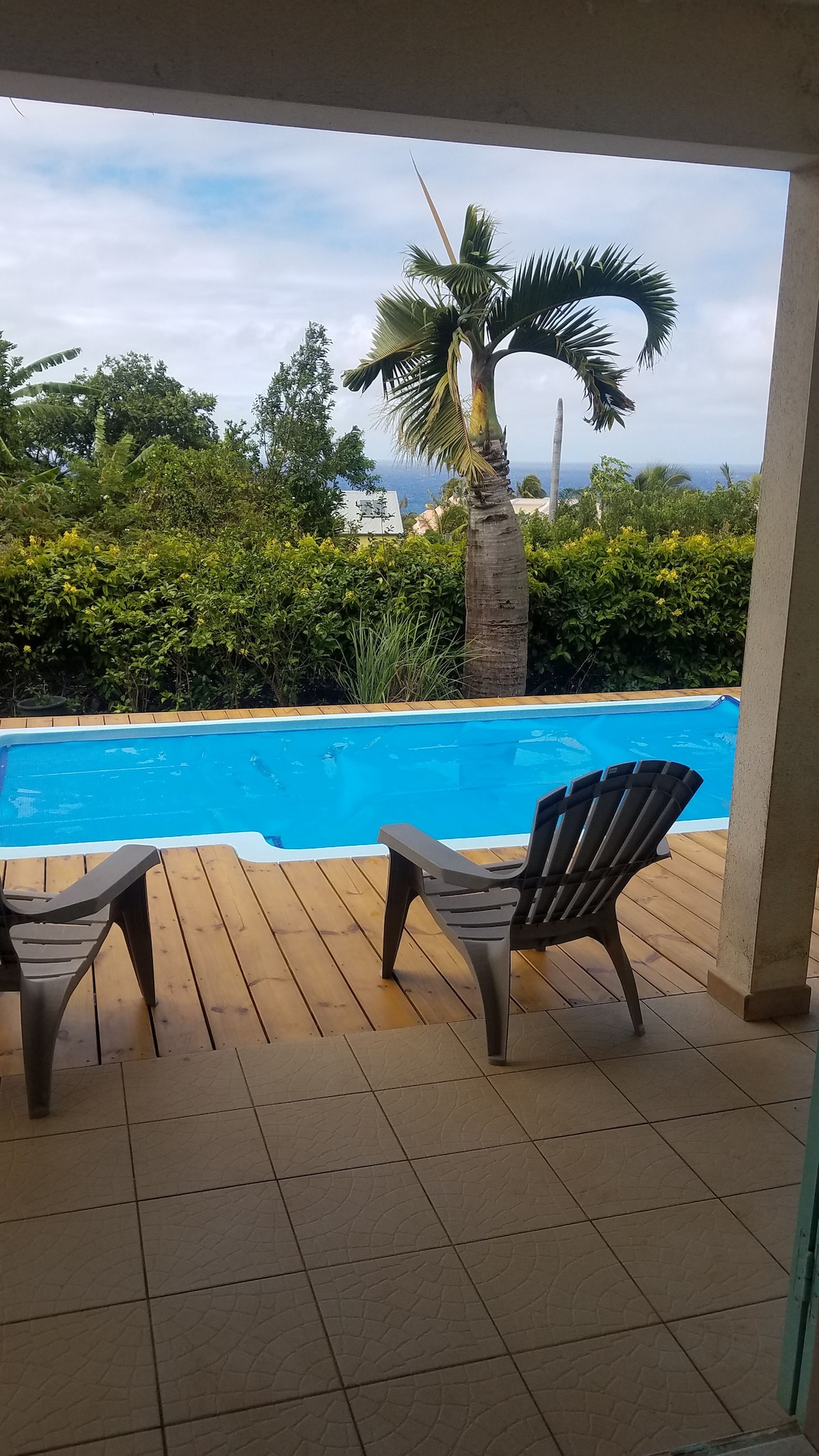 A view of a bright blue swimming pool is presented, bordered by a wooden deck. Two gray lounge chairs are positioned beside the pool. In the background, lush greenery and a tall palm tree can be seen, with a cloudy sky above.