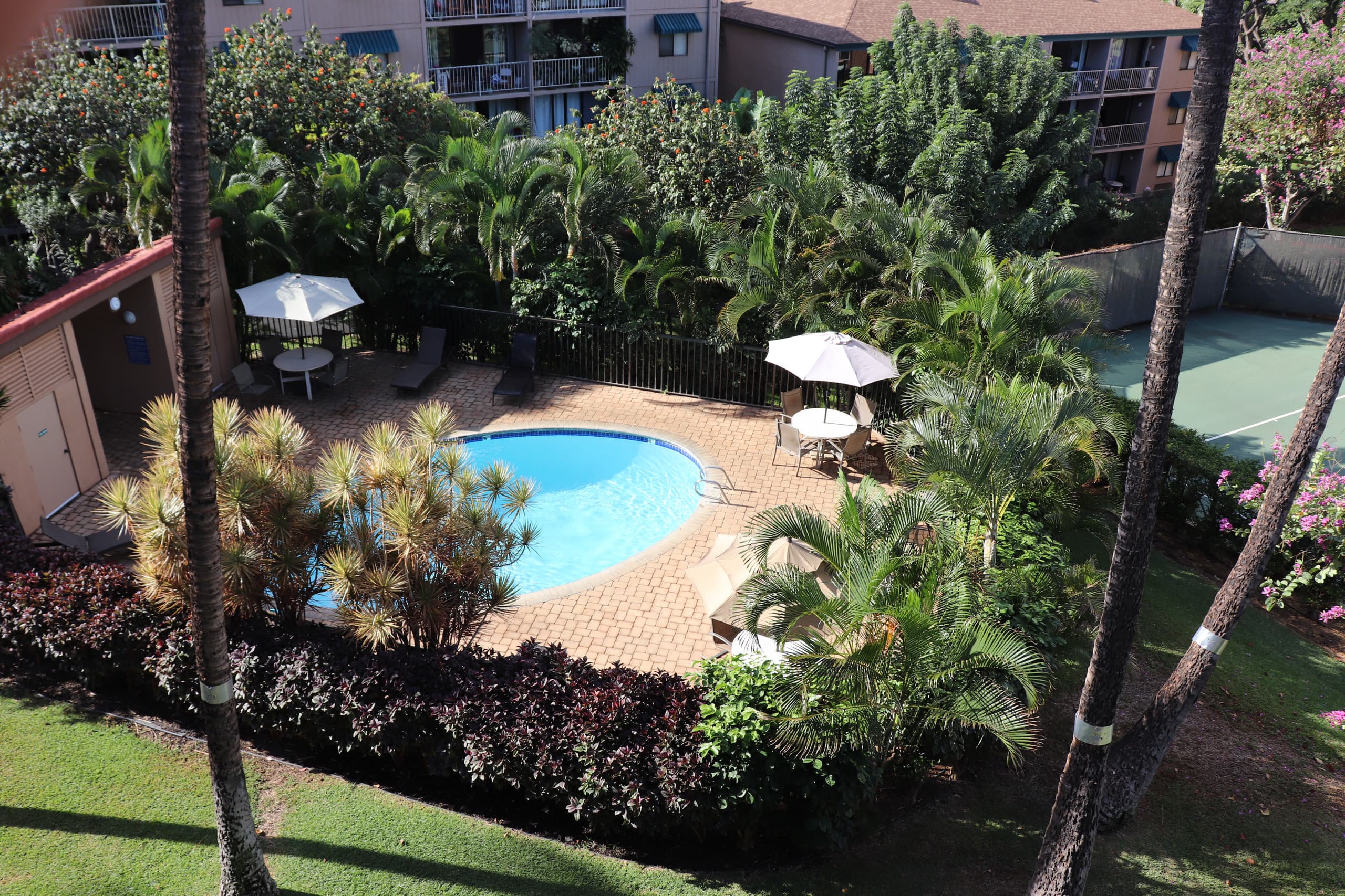 Condo in Kihei · ★4.98 · 2 bedrooms · 3 beds · 2 private baths - Image 17