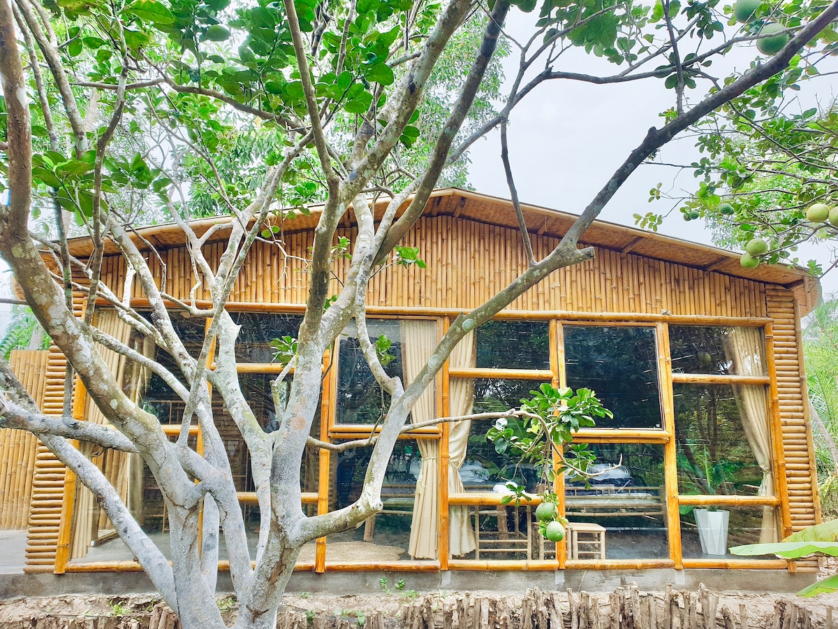 A bamboo-constructed house is surrounded by lush greenery and tropical trees. Large glass windows provide ample natural light and views of the peaceful garden. Simple wooden furniture is positioned outside, complementing the natural materials used in the architecture.