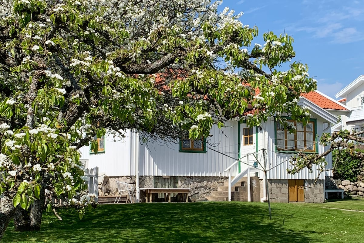 A white house with a red roof is framed by a blooming tree and a green lawn. The entrance is accessible by steps leading to a small porch, while outdoor seating is positioned nearby. The surrounding area features well-maintained gardens, creating a serene atmosphere.