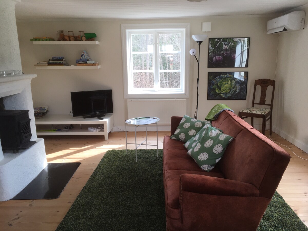 Obývačka s televízorom a kozubom. Okná v troch smeroch. Obývačka s televízorom a krbom. Izba má tri okná. 