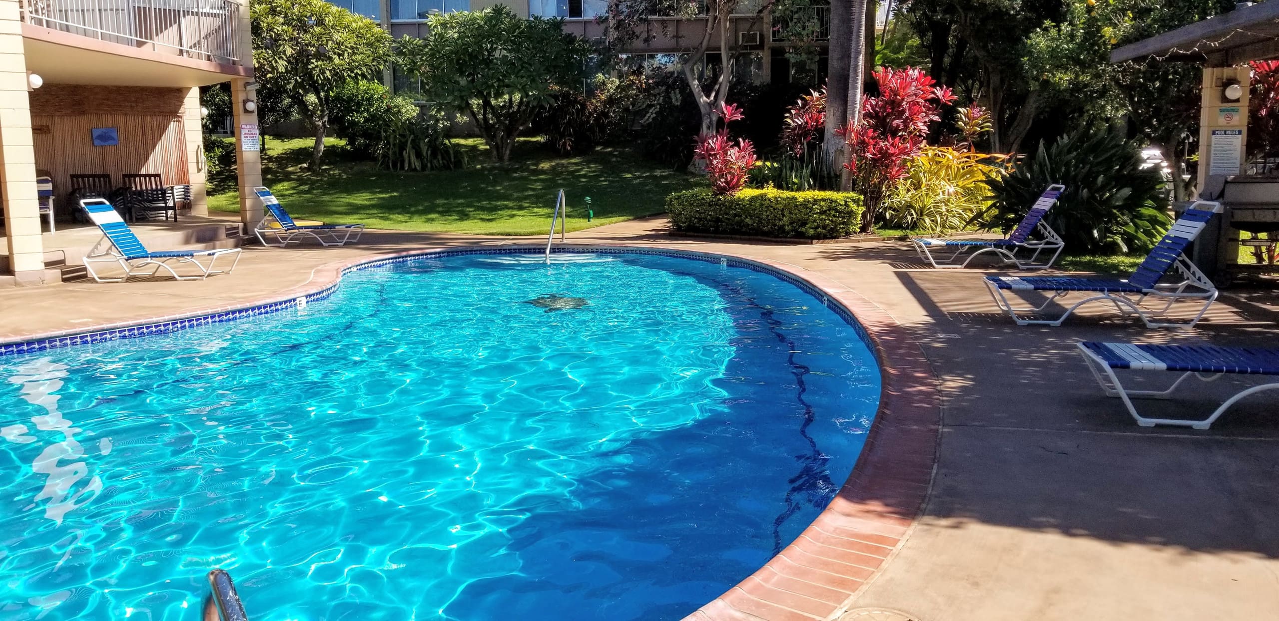Condo in Kihei · ★4.91 · 2 bedrooms · 3 beds · 2 baths - Image 34