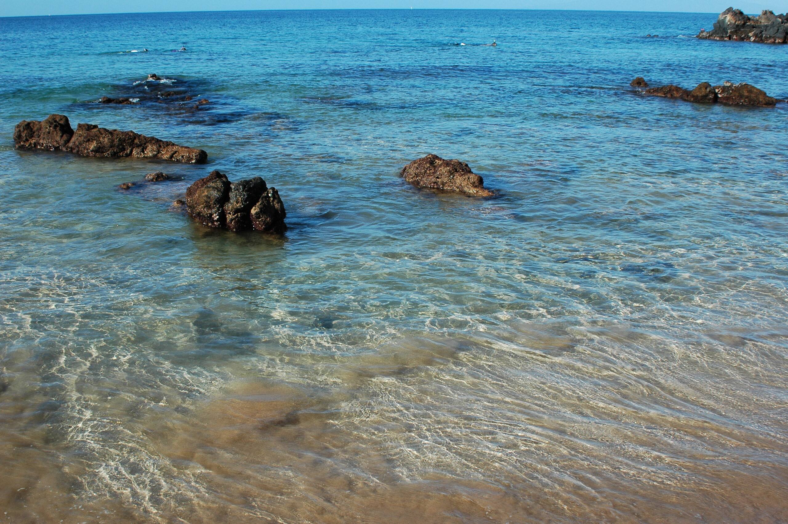 Condo in Kihei · ★4.91 · 2 bedrooms · 3 beds · 2 baths - Image 42