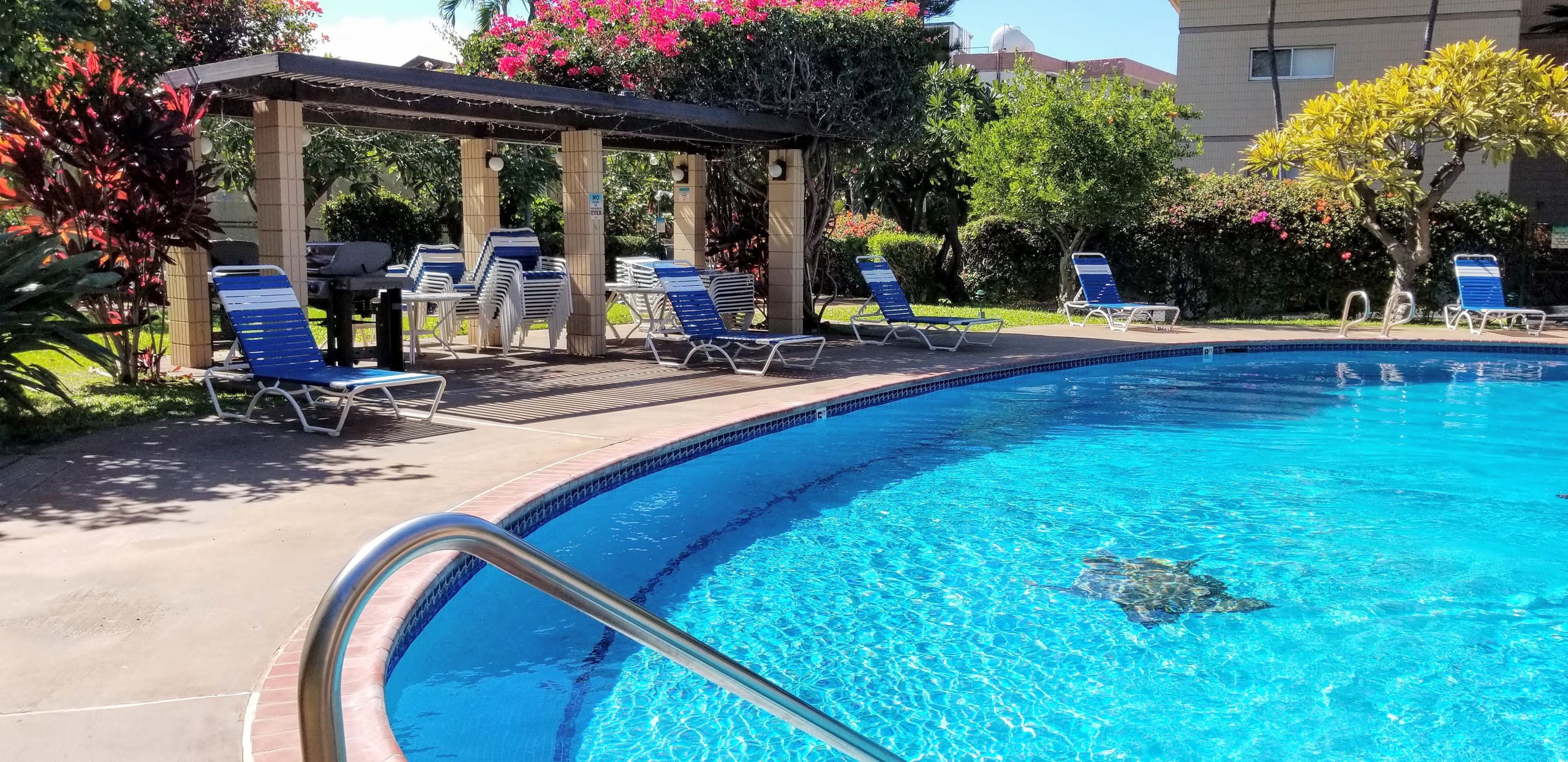 Condo in Kihei · ★4.91 · 2 bedrooms · 3 beds · 2 baths - Image 33